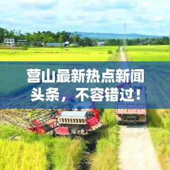 营山最新热点新闻头条，不容错过！