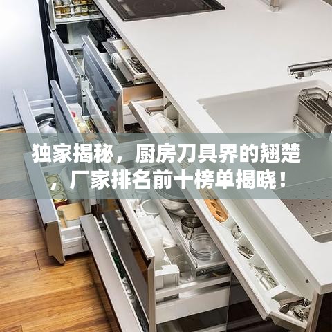 独家揭秘，厨房刀具界的翘楚，厂家排名前十榜单揭晓！