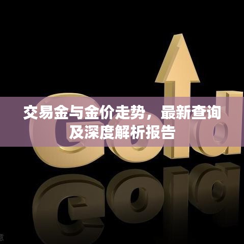 交易金与金价走势，最新查询及深度解析报告
