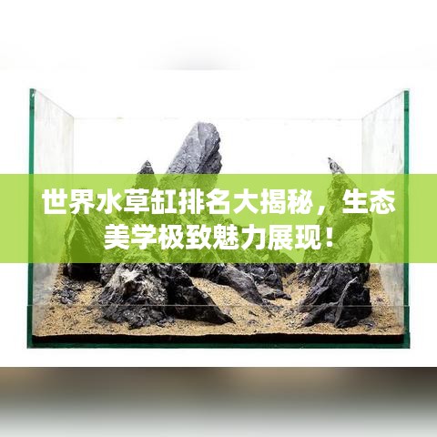 世界水草缸排名大揭秘，生态美学极致魅力展现！