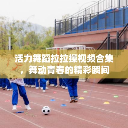 活力舞蹈拉拉操视频合集，舞动青春的精彩瞬间