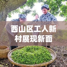 西山区工人新村展现新面貌，社区发展带动幸福生活新篇章