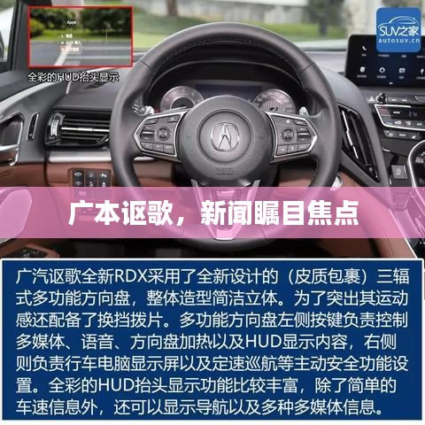 披肝沥胆 第2页
