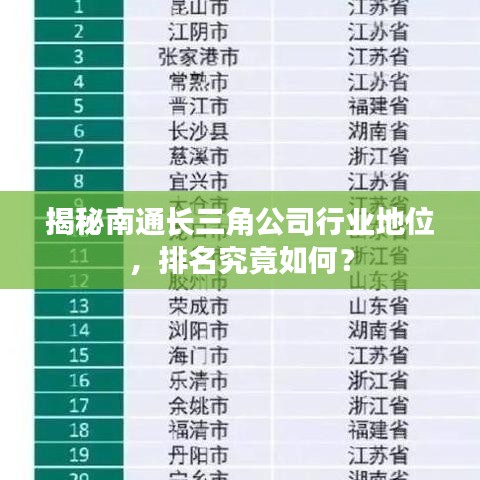 揭秘南通长三角公司行业地位，排名究竟如何？
