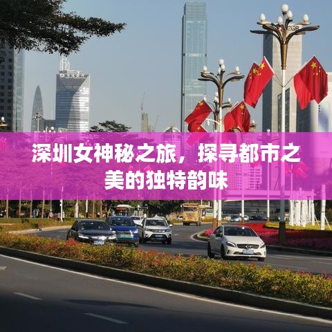 深圳女神秘之旅，探寻都市之美的独特韵味