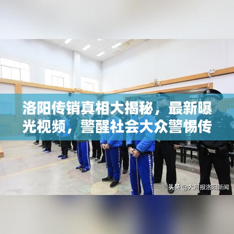 洛阳传销真相大揭秘，最新曝光视频，警醒社会大众警惕传销陷阱