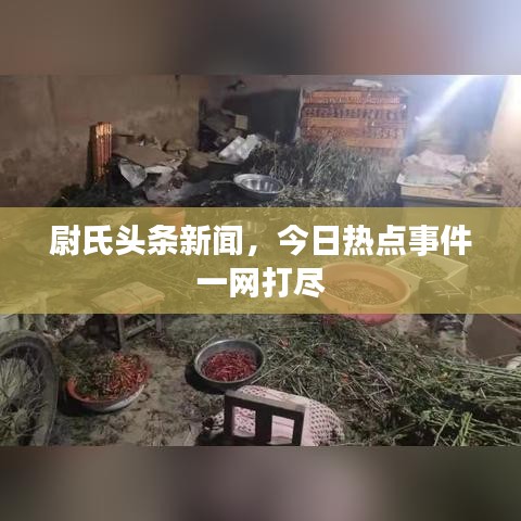 尉氏头条新闻，今日热点事件一网打尽