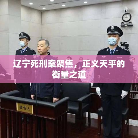 辽宁死刑案聚焦，正义天平的衡量之道