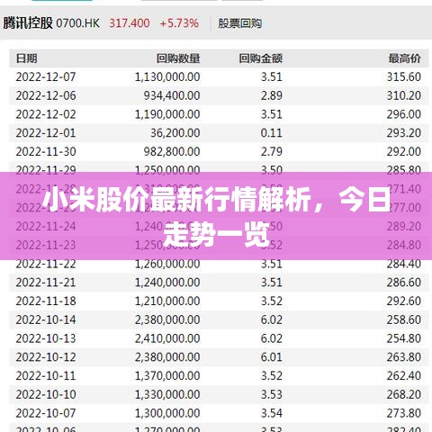 小米股价最新行情解析，今日走势一览
