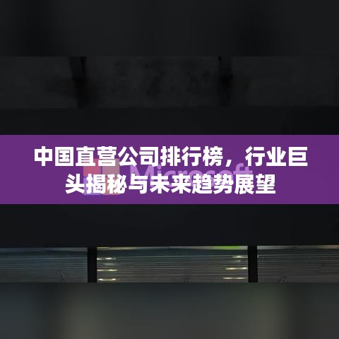 中国直营公司排行榜，行业巨头揭秘与未来趋势展望