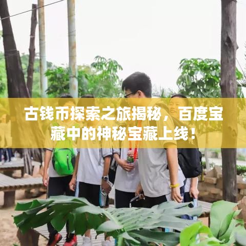 古钱币探索之旅揭秘，百度宝藏中的神秘宝藏上线！