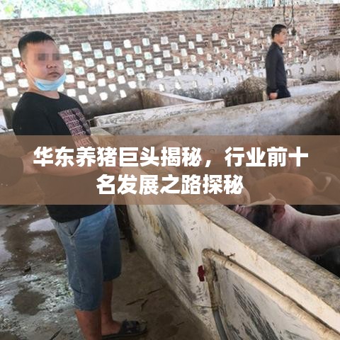华东养猪巨头揭秘，行业前十名发展之路探秘