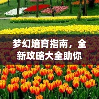 梦幻培育指南，全新攻略大全助你轻松掌握技巧！