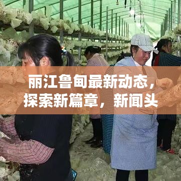 丽江鲁甸最新动态，探索新篇章，新闻头条尽在掌握