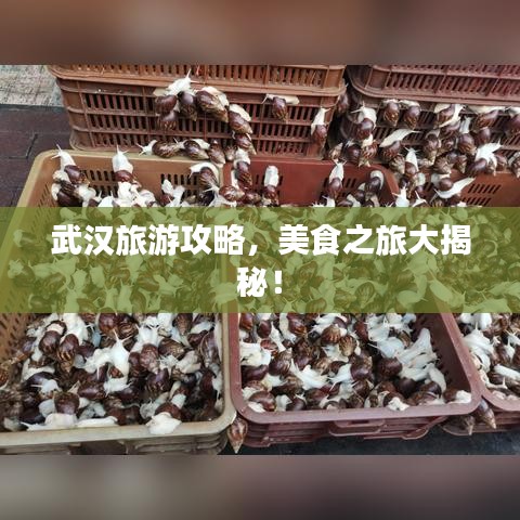 武汉旅游攻略，美食之旅大揭秘！