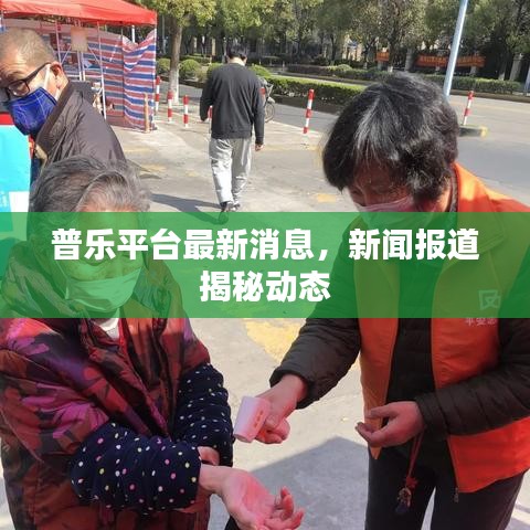 普乐平台最新消息，新闻报道揭秘动态