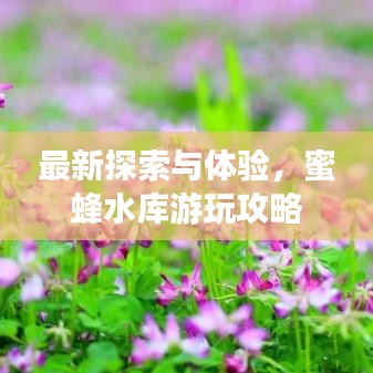 最新探索与体验，蜜蜂水库游玩攻略
