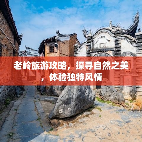 老岭旅游攻略，探寻自然之美，体验独特风情