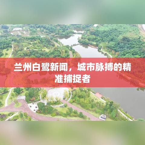 兰州白鹭新闻，城市脉搏的精准捕捉者