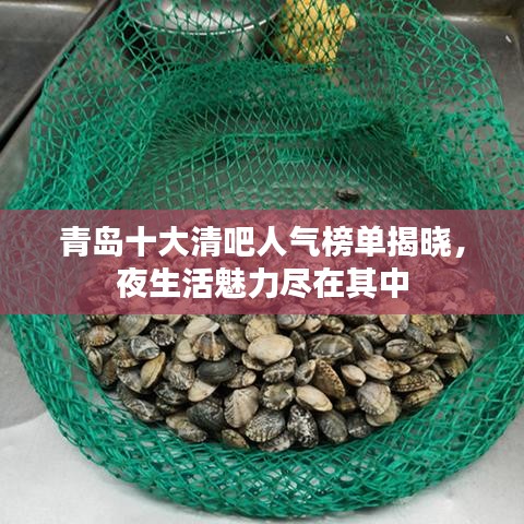 青岛十大清吧人气榜单揭晓，夜生活魅力尽在其中