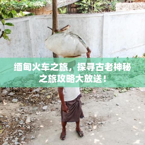 大张挞伐