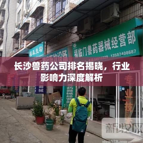 明夷于飞
