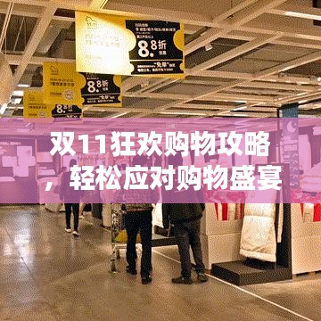双11狂欢购物攻略，轻松应对购物盛宴，省钱省心秘籍大揭秘！
