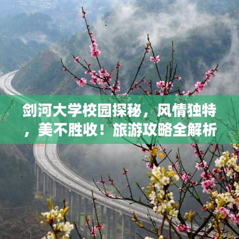 2025年4月 第6页