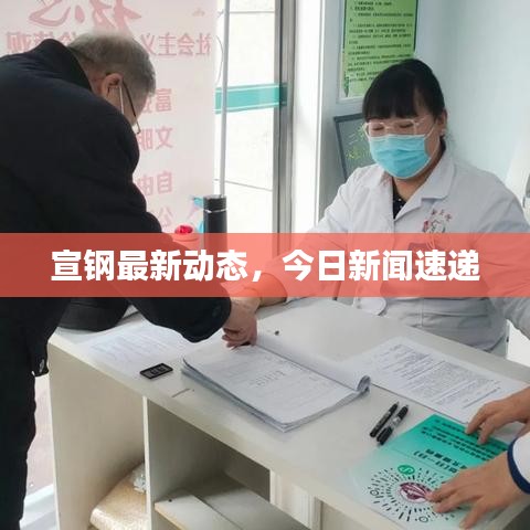 宣钢最新动态，今日新闻速递
