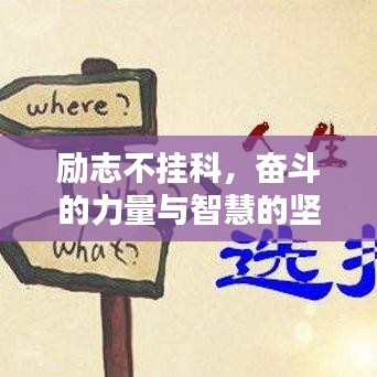 2025年5月1日 第34页