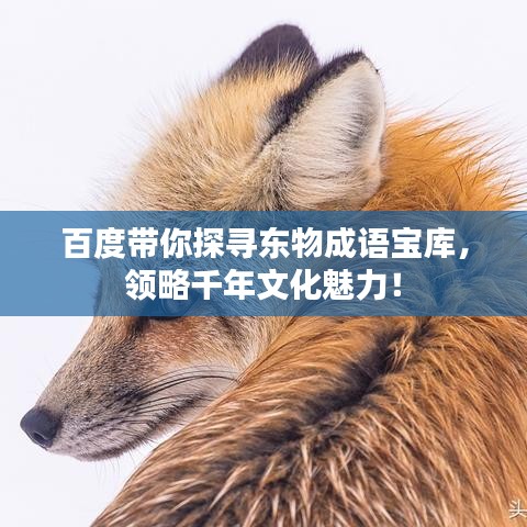 2025年5月1日 第17页
