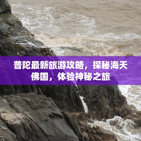 2025年5月1日 第8页