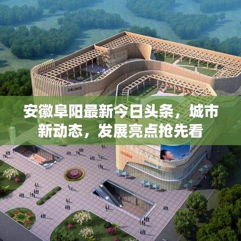 发奋图强