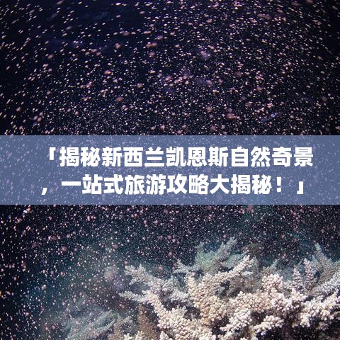 富贵逼人来