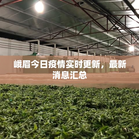 百不一遇