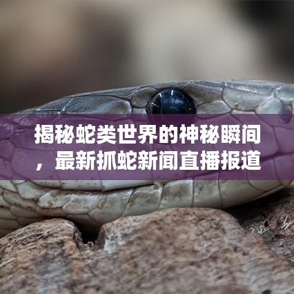 束装就道