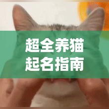 十全十美
