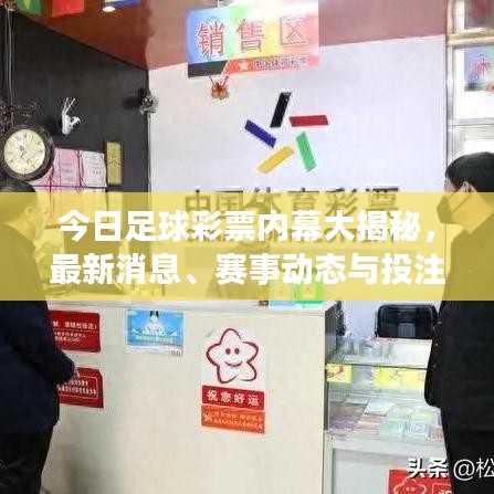 贵阴贱璧