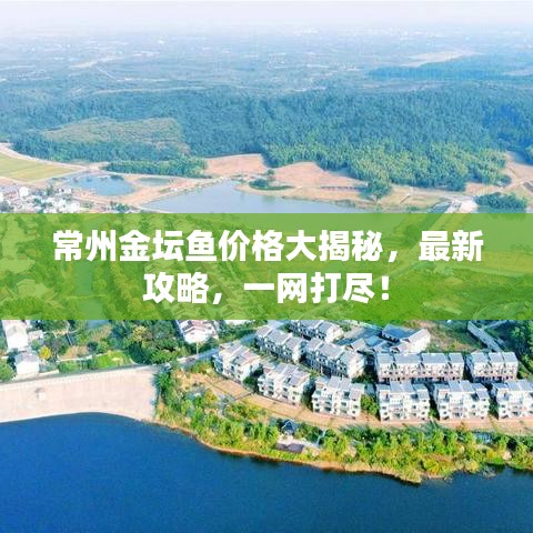 常州金坛鱼价格大揭秘，最新攻略，一网打尽！