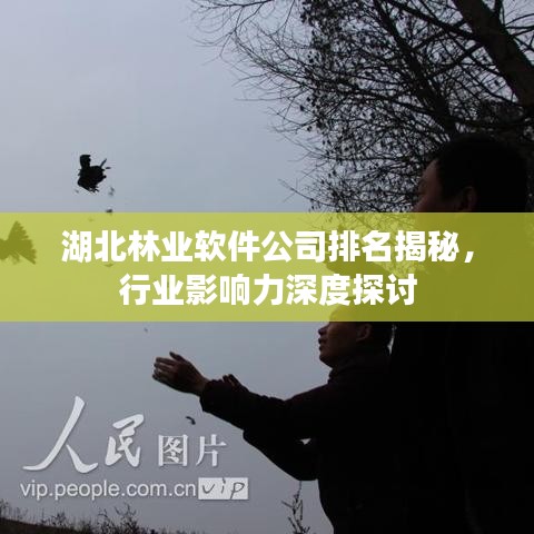 瞋目张胆