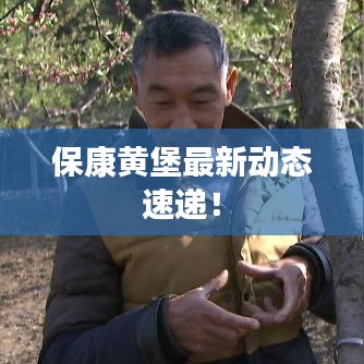 按部就班