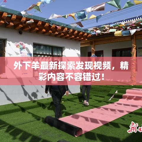 飞黄腾达
