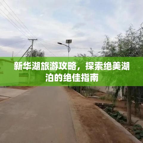 百不获一