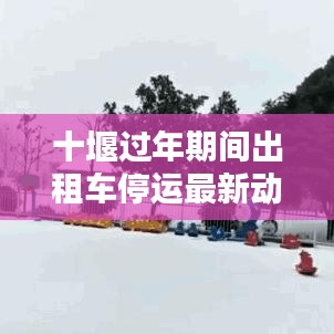 勤勤恳恳