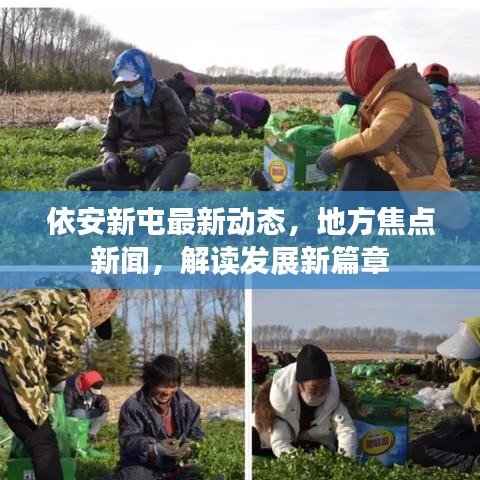 小鸟伊人