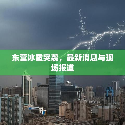笨鸟先飞