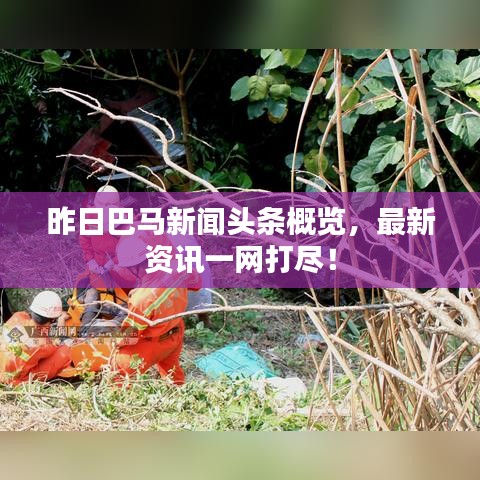 淡泊以明志，宁静以致远