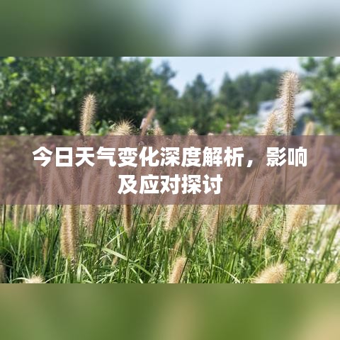 贵极人臣