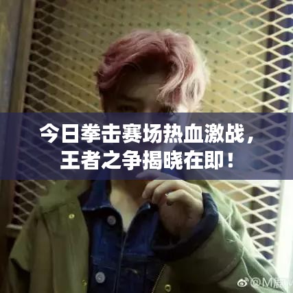 今日拳击赛场热血激战，王者之争揭晓在即！