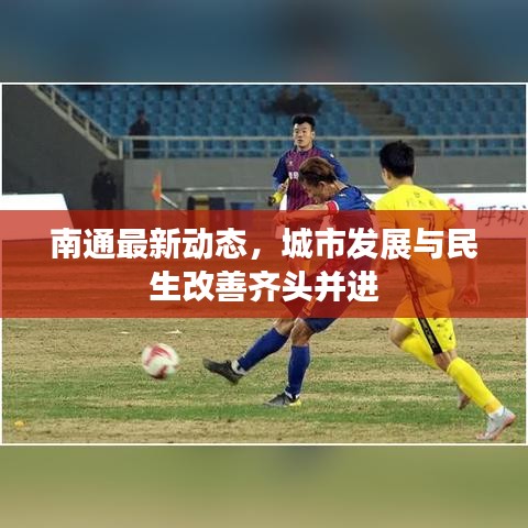 纲举目张